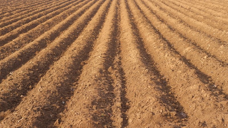 cultivated, sunlight, farm, sowing, full frame, valley, regulation, rural scene, pattern, seed, outdoors, arable land, land, mountain, tranquil scene, furrow