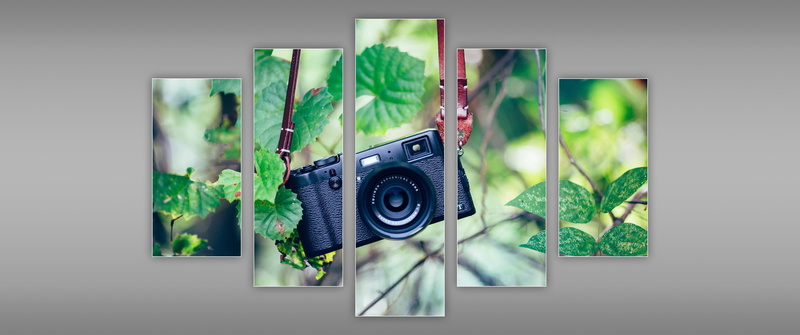camera, black, no people, green color, point, photography themes, indoors, shoot, 2K, painting, plant part, leaves, hanging, focus on foreground, plant
