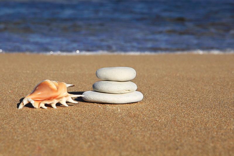 tranquility, one animal, stone, nature, shell, land, three, ocean, marine, balance, beach, animal wildlife, water, sea, summer, beauty in nature, animal shell