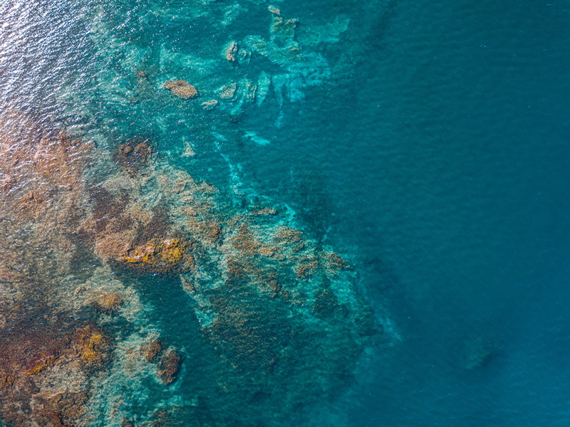 sea, turquoise colored, aerial, coral reef, underwater, body, plant, blue, outdoors, beauty in nature, aquatic, undersea, invertebrate, chile, view, avenida philippi 1285