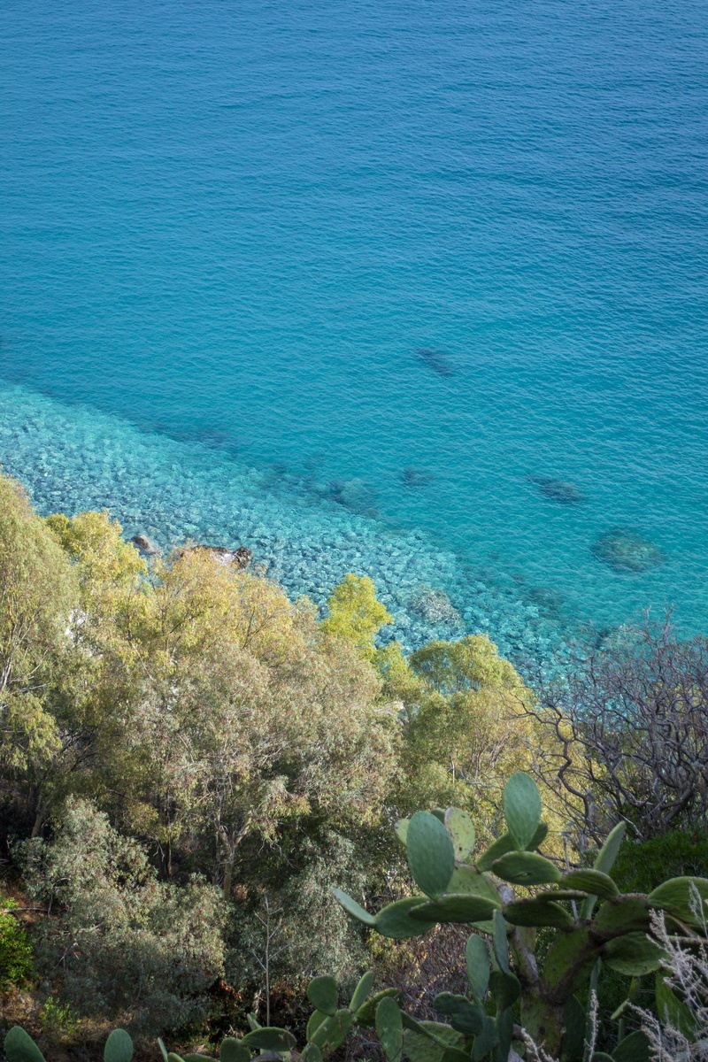 vegetation, scenics - nature, high angle view, beauty in nature, blue, nature, coast, tranquility, promontory, water, shoreline, growth, trees, day, beside