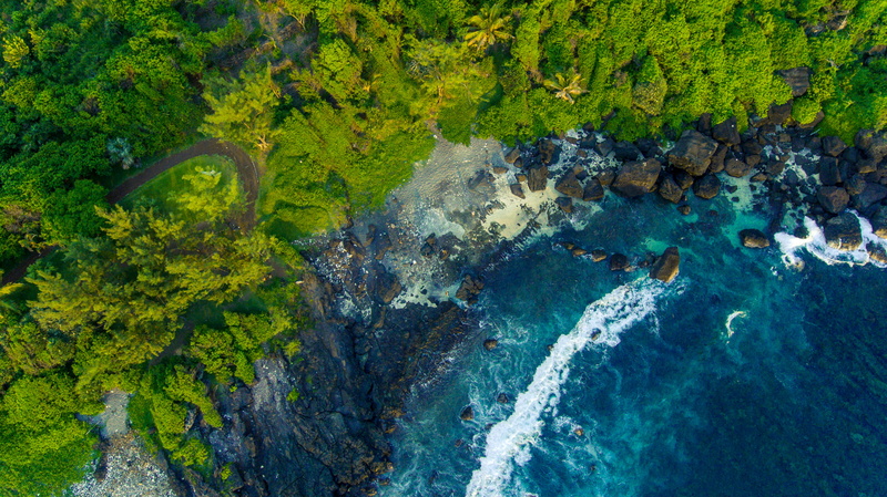 river, aerial view, bush, fish, outdoors, tranquil scene, green, ocean, high angle view, plant, day, aquatic, sea, tree, green color, land, trees, idyllic