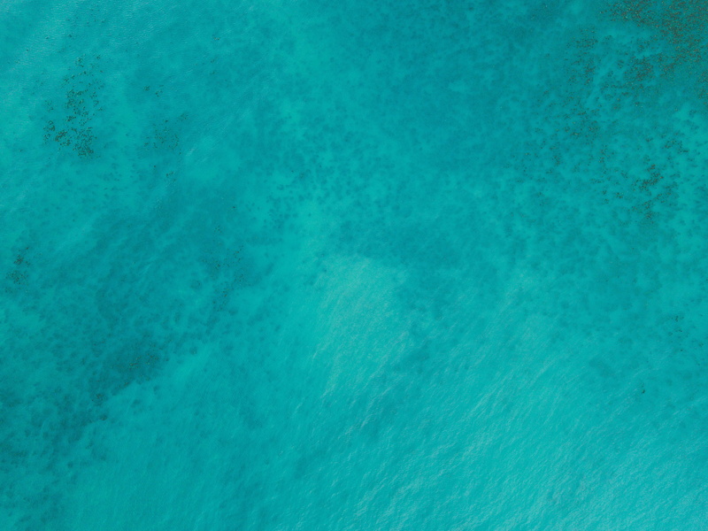 full frame, copy space, tranquility, luxury, diving, day, invertebrate, water, ocean, sea, texture, swimming pool, tranquil scene, swimming, abstract, diver