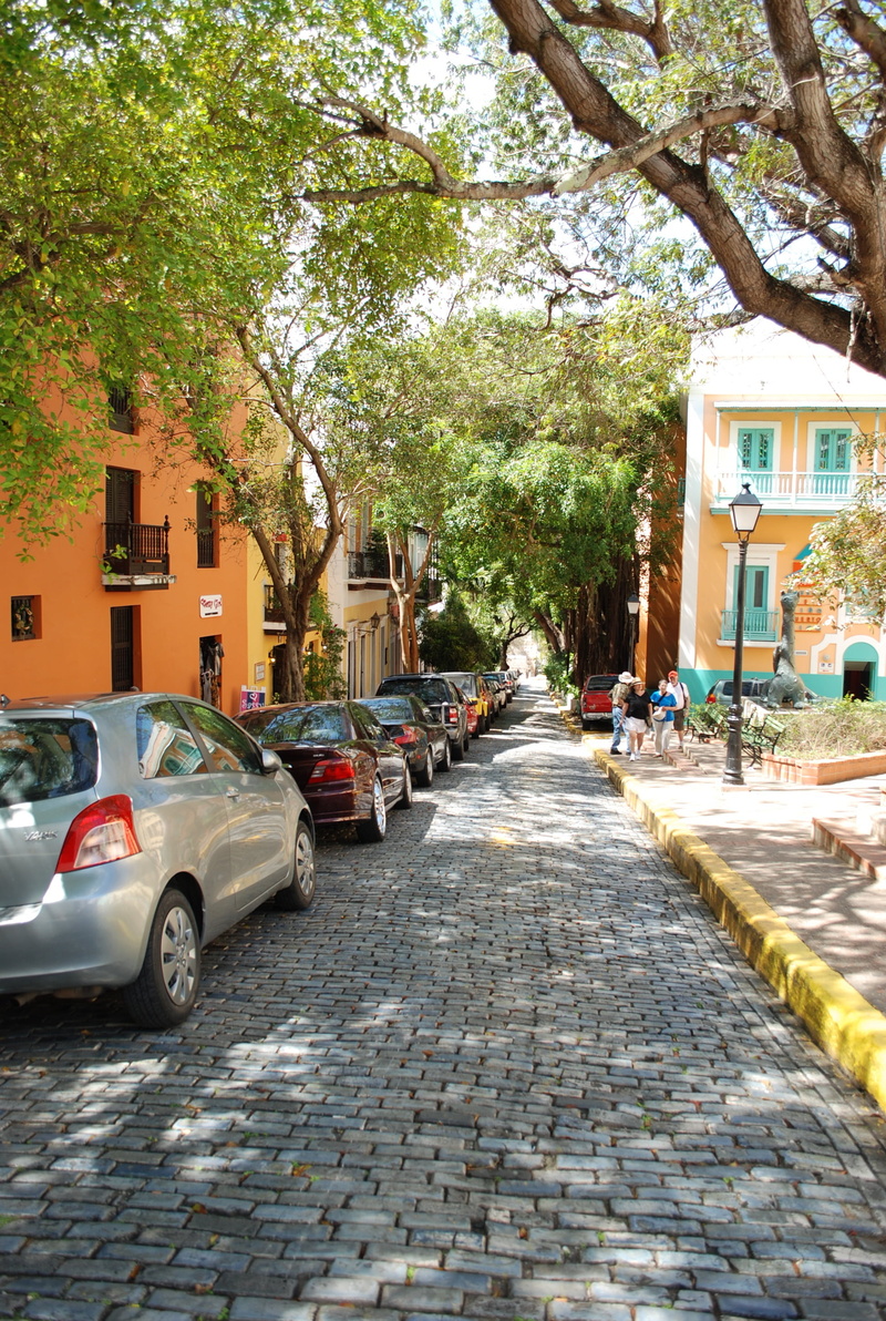plant, building, car, built structure, day, motor vehicle, transportation, building exterior, incidental people, nature, cobblestone streets, vibrant, road