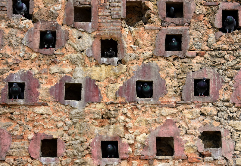 building exterior, full frame, weathered, brick, decline, no people, old san juan, deterioration, old, run-down, day, window, damaged, san juan, abandoned