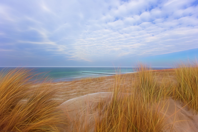 still, plant, yellow, time, horizon over water, seaside, clouds, rest, dike, wide, cloud - sky, seashore, marram grass, baltic sea, blue, wind, no people