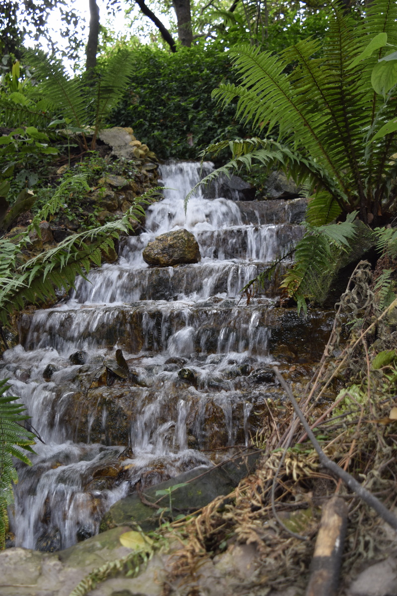 rainforest, blurred motion, no people, solid, stream - flowing water, rock - object, land, water, plant, motion, nikon d5300, growth, nature, scenics - nature
