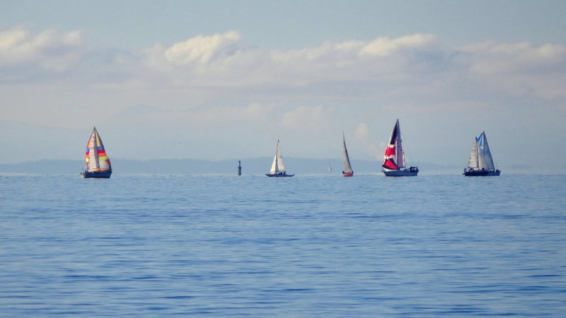 vessel, day, sea, water, boat, tranquil scene, nature, adventure, horizon over water, mode of transportation, 1080P, wind, sky, transportation, nautical vessel