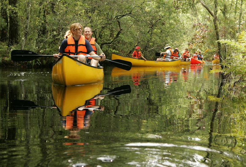 paddling, adventure, two people, recreation, boat, nautical Vessel, reflection, women, boating, adult, lake, tree, river, paddle, oar, day, travel, recreational Pursuit