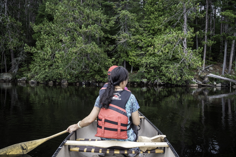 Ontario, rowing, tree, nature, mode of transportation, photos, oar, one woman only, public domain, real people, outdoors, nautical Vessel, lake, sitting