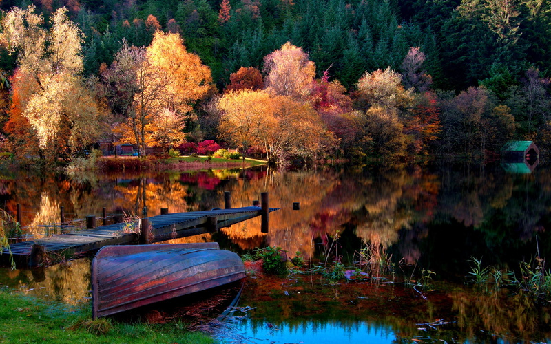 rowboat, dock, scenics - nature, waterfront, leaf, lake, day, tree, boat, tranquil scene, tranquility, 2K, change, trees, plant, transportation, beauty in nature