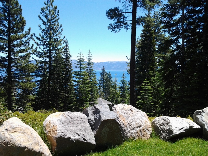plant, growth, solid, grass, day, color, nature, rocks, scenics - nature, romantic, land, no people, tranquility, tree, relaxation, california, rock - object