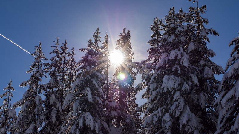 sun, big sky, tranquility, winter, sunbeam, snow, snowcapped mountain, plant, cold temperature, nature, united states, low angle view, tranquil scene, tree