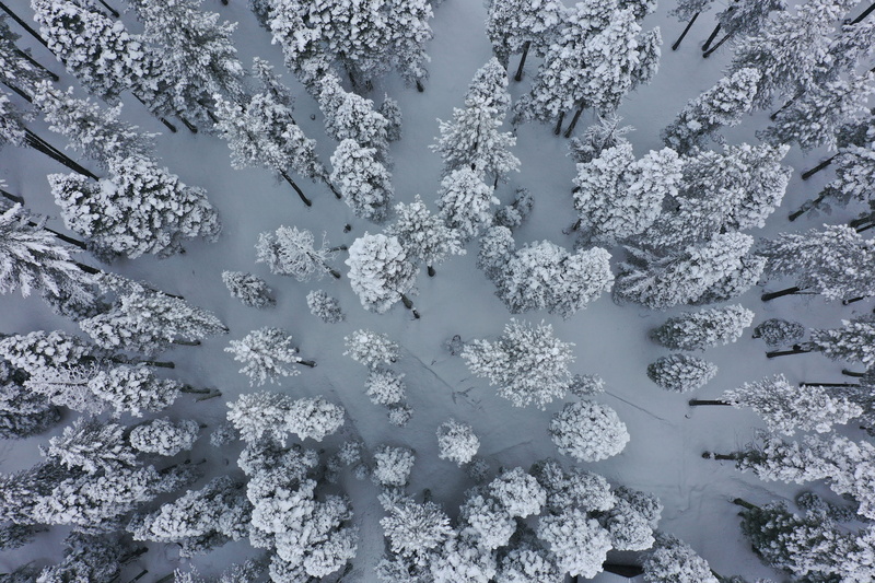 vulnerability, wonderland, ice, frozen, drone, tahoe city, fragility, land, full frame, 748 chapel ln, tree, frost, beauty in nature, cold temperature