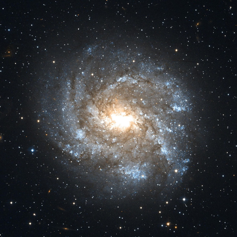 dark, outdoors, planet - Space, heavenly, ngc 2082, star Shape, glowing, constellation, exploration, constellation schwertfisch, starry sky, star, bright