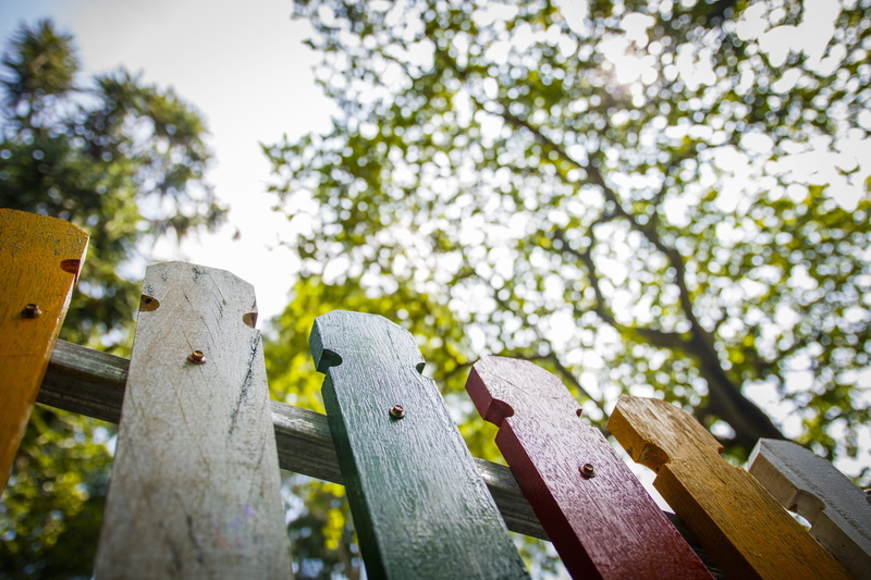 branch, colorful, view, blurred background, boundary, low angle view, s, focus on foreground, photography, look up, fence wood, wood - material, eye, kindergarten