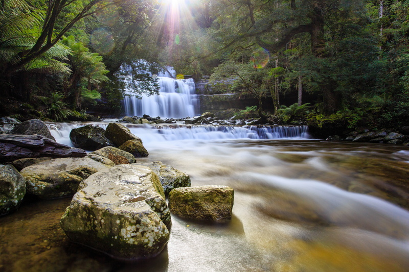 green Color, surrounded, landscape, Hoya, f4L, phot, flow, rocks, time lapse, trees, outdoors, falling, Tasmania, water, river, Liffey Falls, waterfall