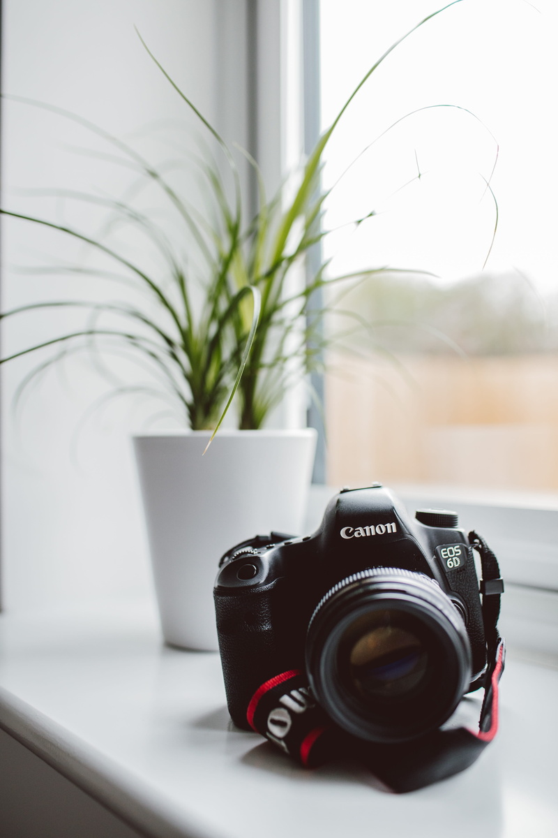 camera - photographic equipment, nature, houseplant, plant, photography themes, no people, focus, 5K, technology, eos, d, still life, indoors, photography