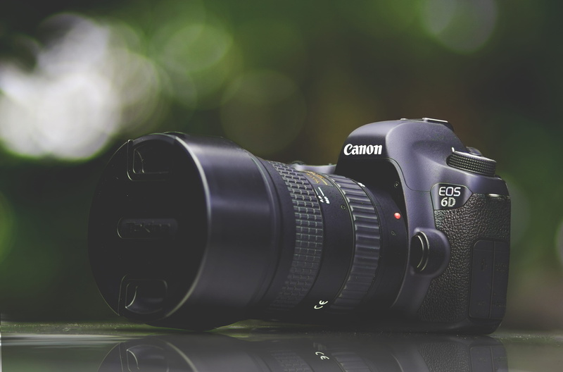 canon, d, camera, slr camera, purple, black color, digital camera, personal accessory, eos, still life, 5K, activity, selective, camera - photographic equipment