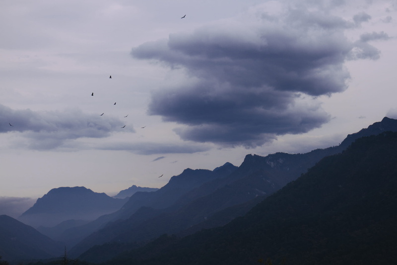 mexico, flying, scenics - nature, silhouette, vertebrate, nature, bird, non-urban scene, mountain range, animal themes, no people, mountain, cloud - sky
