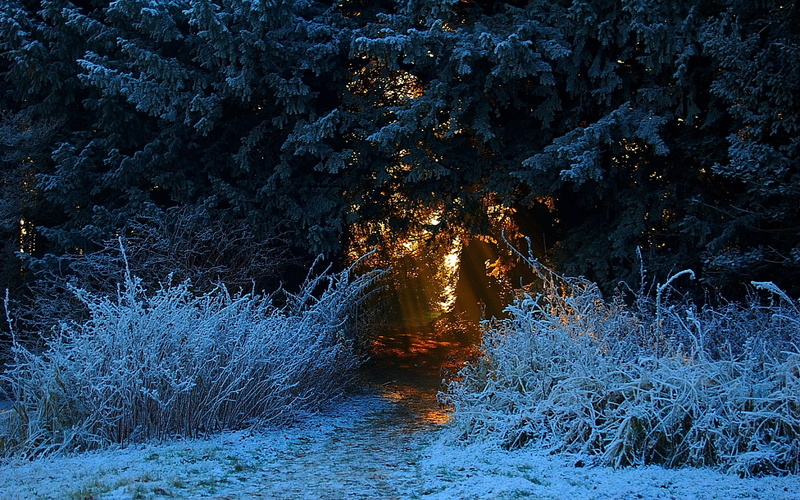 time, nl, nature, winter, art, 720P, hd