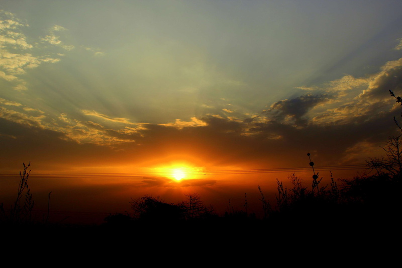 sunlight, tranquility, sunrays, sunrise, nature, cloud - sky, non-urban scene, daybreak, environment, scenics - nature, sun, tranquil scene, beauty in nature