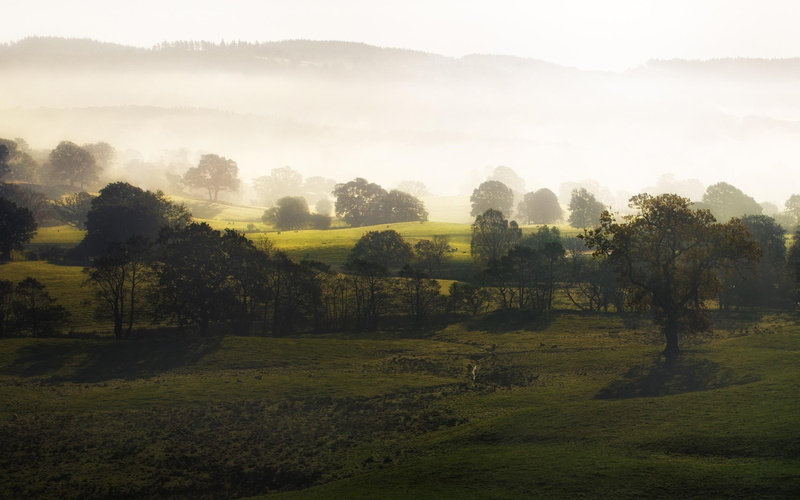 nature, 3d and abstract, beautiful, trees, fields, green, 2K, mountains, daybreak, hills, sunrise