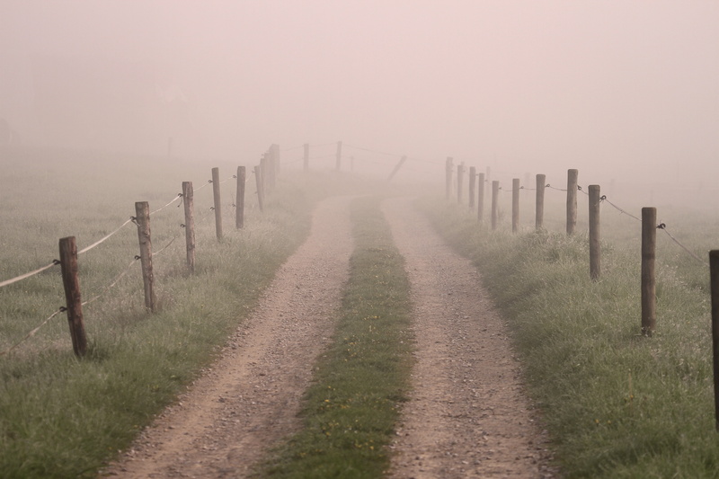 post, boundary, silent, brown, wooden post, nature, mystical, dirt, foggy, direction, aimless, fog, road, field, rural Scene, mysterious, beauty in nature