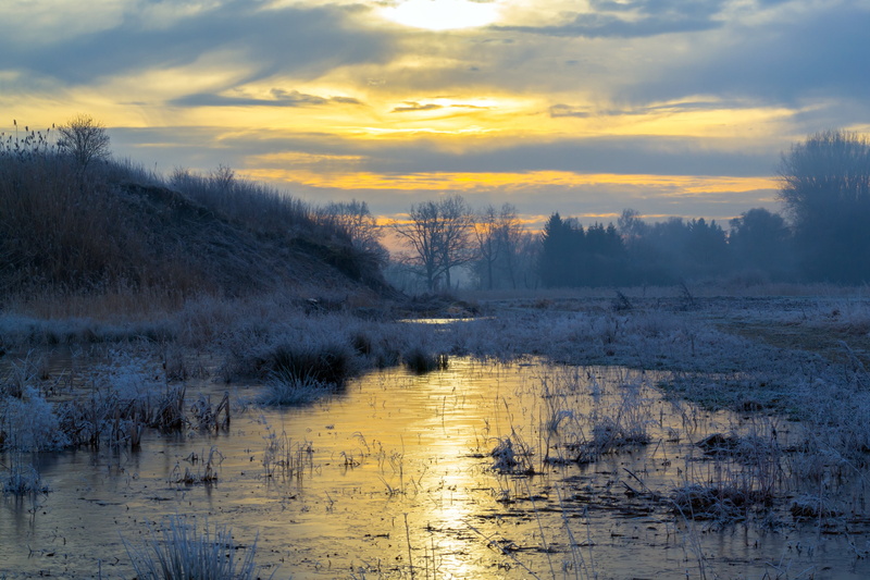 autumn, scenics, sunrise, forest, river, remote, no people, water, sunlight, clouds, fog, mirroring, sunset, orange, morning, nature, frost, body, bare