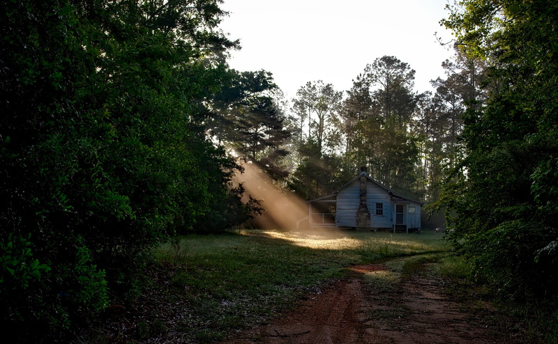 log cabin, dawn, no people, transportation, trees, countryside, tree, sunrise, house, daytime, morning, sunlight, green color, plant, nature, wooden, daybreak