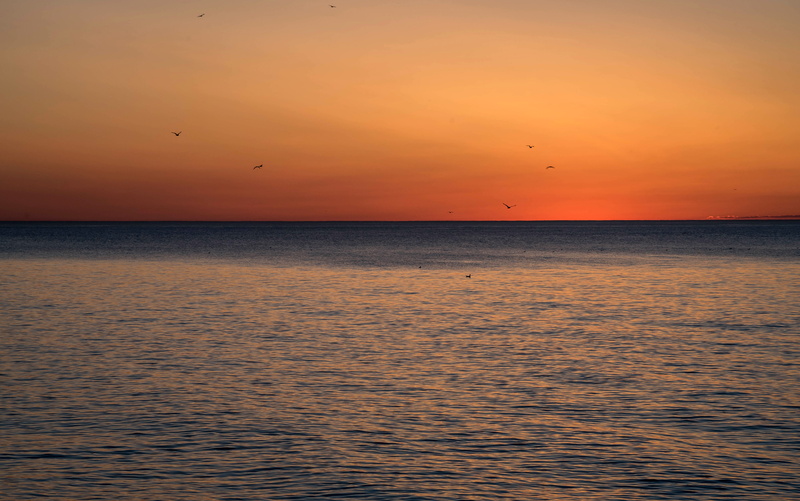 nature, photo, Lake Michigan, outdoors, romantic sky, beach, dusk, beauty In Nature, sea, Point Beach, bird, Daybreak, Wisconsin, scenics - nature, sunset