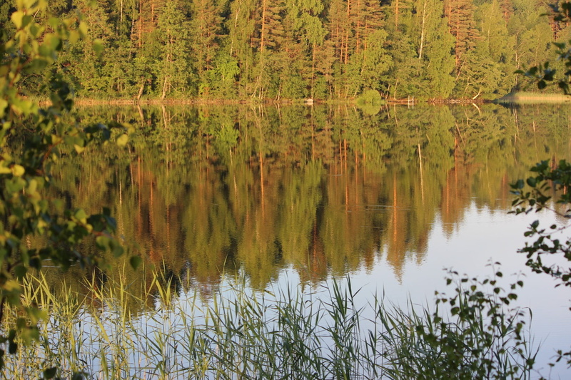 green color, outdoors, Saimaa, tranquility, grass, reflection lake, growth, Lake, lake, non-urban scene, waterfront, nature, water, Landscape, reflection
