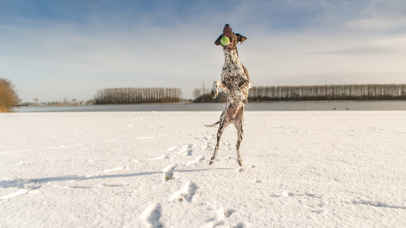 outdoors, one person, white color, leisure activity, arms raised, tranquility, winter, day, extreme weather, land, human arm, lifestyles, warm clothing