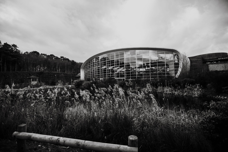 woburn, grayscale, day, flare, town, mode of transportation, light, convention center, housing, abandoned, outdoors, holiday, tree, field, buildings, downtown