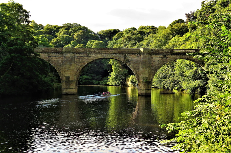 arch bridge, connection, tree, waterfront, no people, green color, transportation, river, water, 4K, sky, bridge - man made structure, peaceful, durham