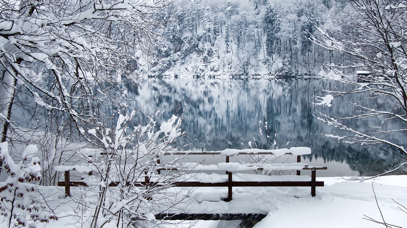 black, Winter, wooden, trees, füssen, wooden bench, peaceful, snow  lake, 5K, bench, snow, cold, nature, bridge, reflection, neuschwanstein, beautiful