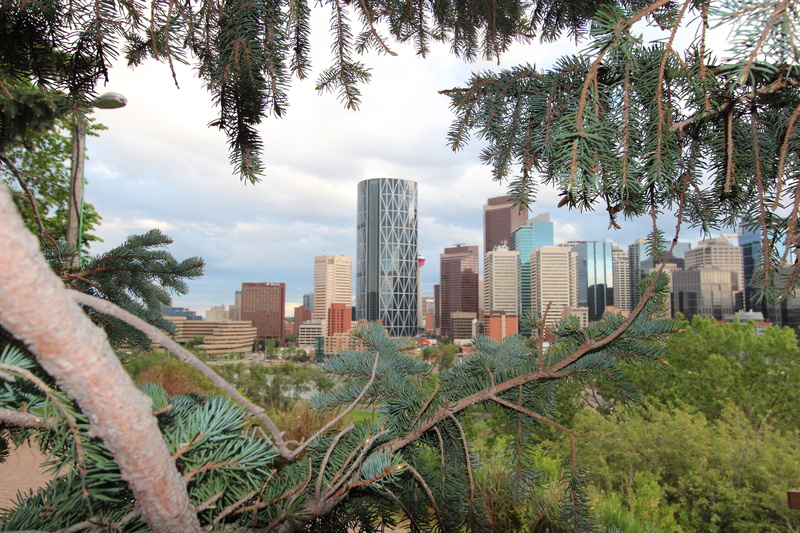 Alberta, home, clouds, Calgary, landscape, trees, Canada, needles, branches, 5K