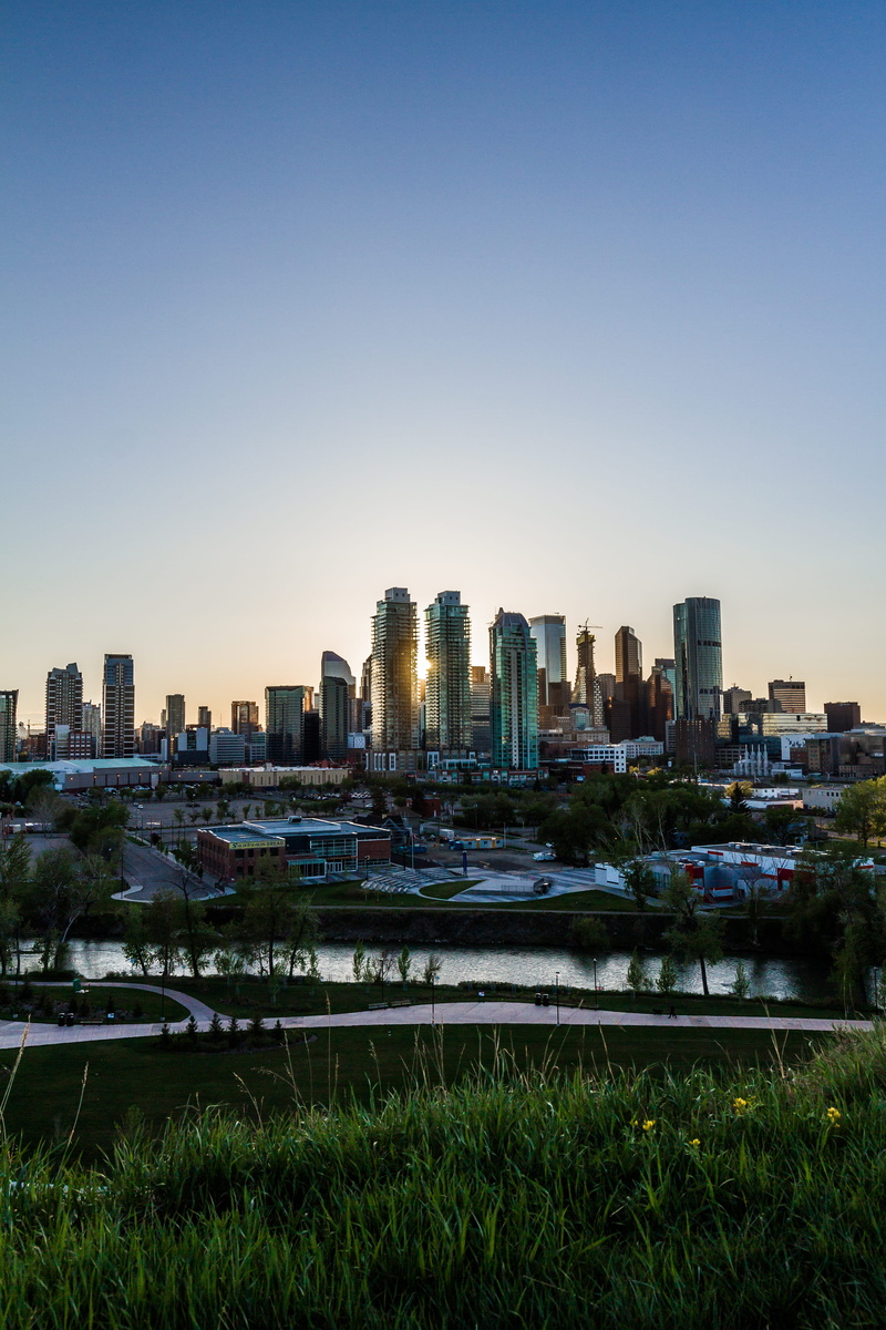 tower, skyscrapers, no people, trees, clear sky, nature, calgary, building exterior, outdoors, architecture, alberta, skyscraper, grass, urban skyline