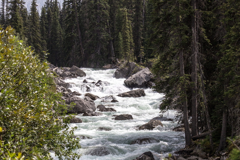 rock - object, green, nature, water, tourist, cavell, growth, scenic, rock, scenics - nature, scene, athabasca, glacier, mountain, natural, green color