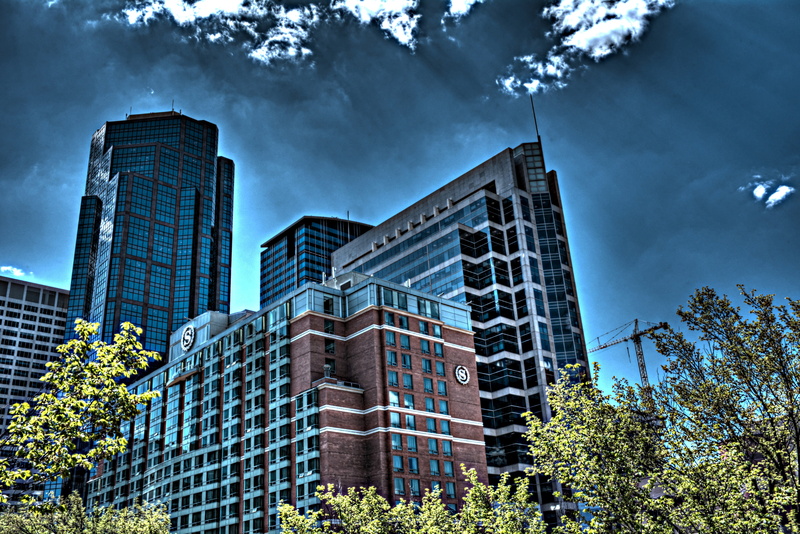 office, calgary, architecture, outdoors, plant, downtown district, residential district, low angle view, city, financial district, skyscraper, sky, landscape