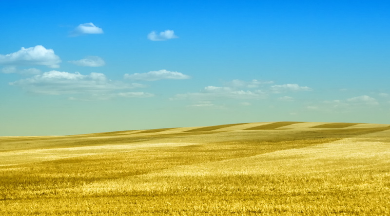 Nature, Fields, rolling, Harvest, Lines, alberta, 4K, combine, gold, Rows, Couds, Landscape, calgary, drumheller