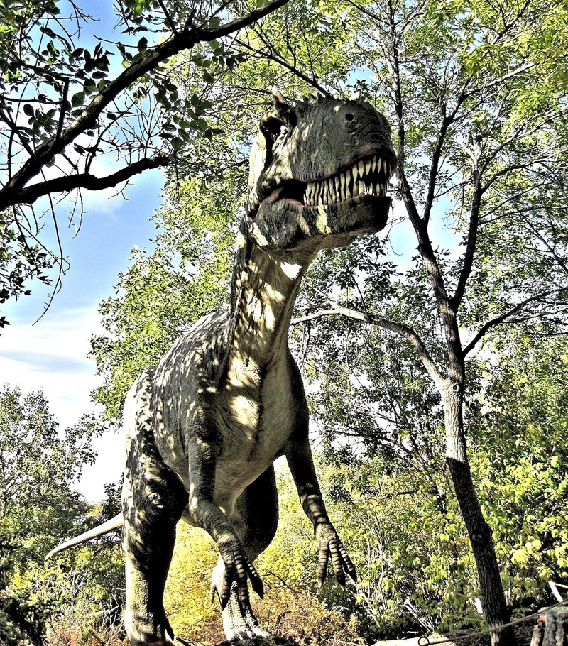 alberta, day, dinosaur, no people, nature, 1080P, branch, animal wildlife, plant, representation, mammal, low angle view, growth, calgary, animals in the wild