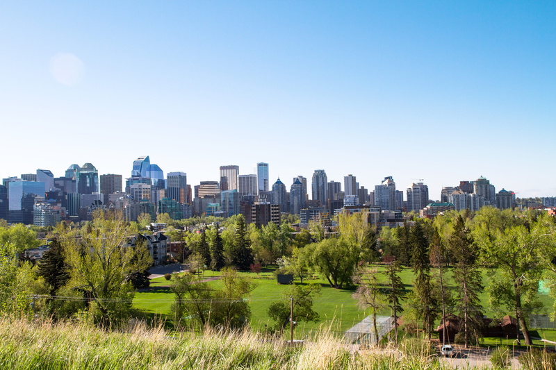 city, building exterior, canada, skyscraper, building, outdoors, built structure, tree, sunlight, trees, office building exterior, sky, day, plant, urban skyline