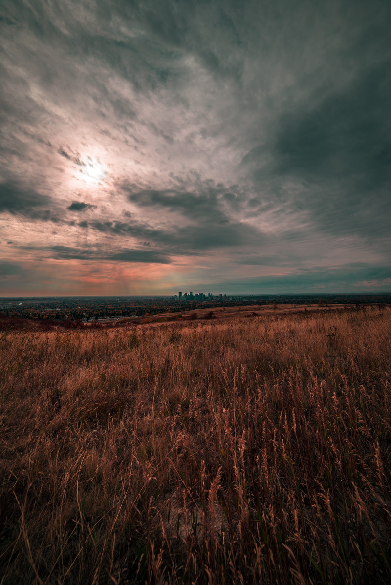 landscape, grass, idyllic, agriculture, skyline, nature, plant, rural scene, field, cloud - sky, tranquility, canada, non-urban scene, sky, beauty in nature