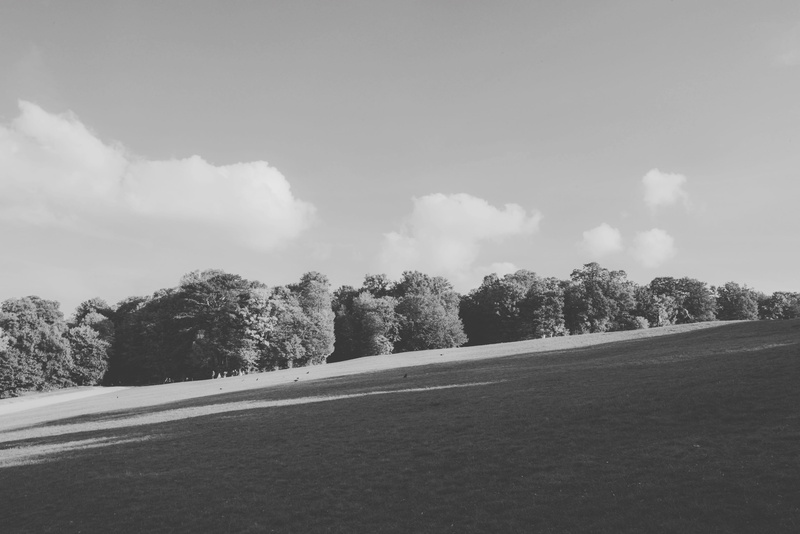 environment, transportation, the way forward, day, building, plant, architecture, weather, non-urban scene, grayscale, fir, asphalt, landscape, cloud - sky