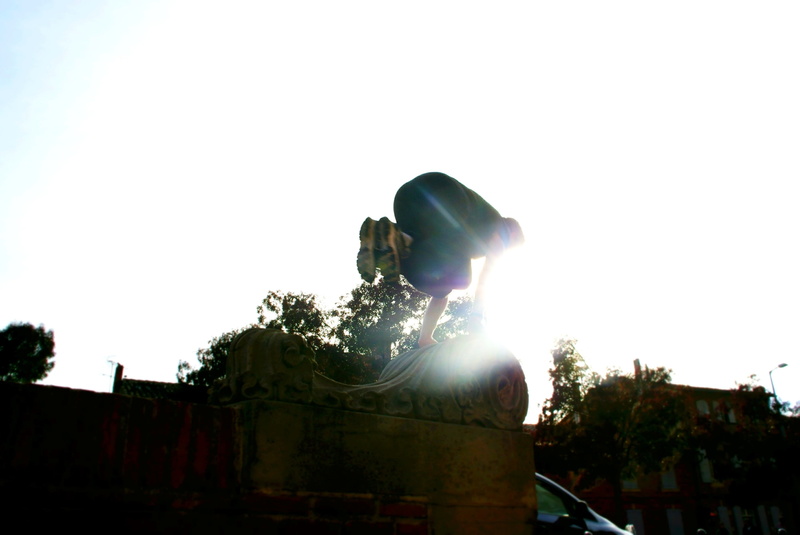 arts culture and entertainment, tree, building, sun, outdoors, sunlight, lens flare, low angle view, no people, day, copy space, nature, sunny, plant, parkour