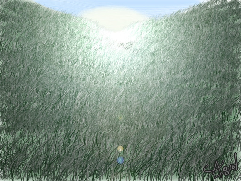 Grass With Lensflare, scenics - nature, land, HD, nature, 480P, sunrise, outdoors, grass, plant, field, sea, beauty in nature, environment, green color