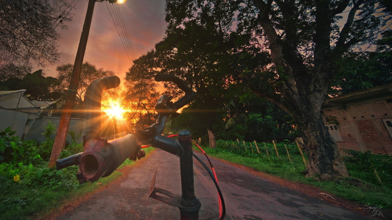 building exterior, architecture, sky, india, sunlight, lensflare, lens flare, built structure, sunset, holding, balance, tree, casual clothing, lifestyles