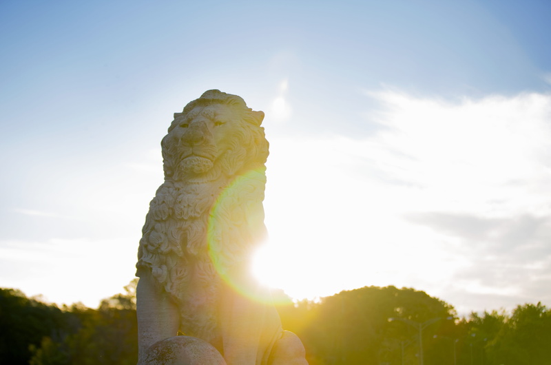 sun, low angle view, statue, human representation, trees, sculpture, bluesky, united states, sunlight, lens flare, stone, bridge, back lit, plant, lion