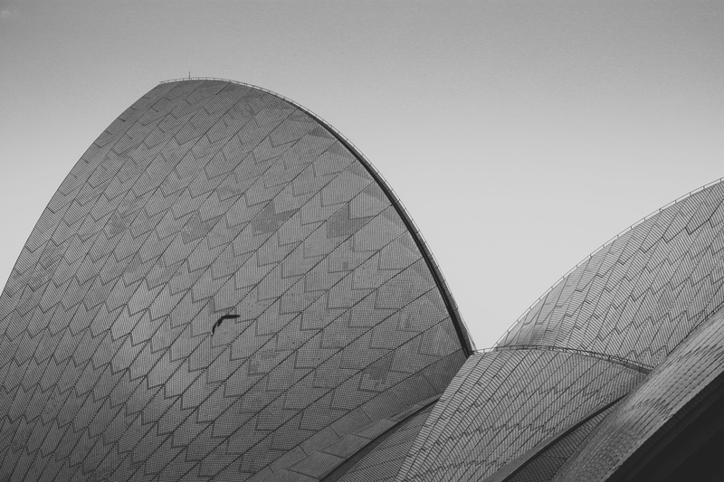 outdoors, 5K, tone, built structure, clear sky, sydney, tourism, shape, arts culture and entertainment, architecture, nature, opera, travel destinations